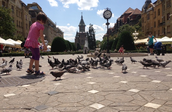 Temešvár je hlavním městem a vstupní branou do Banátu. Temešvár je hlavním městem a vstupní branou do Banátu.